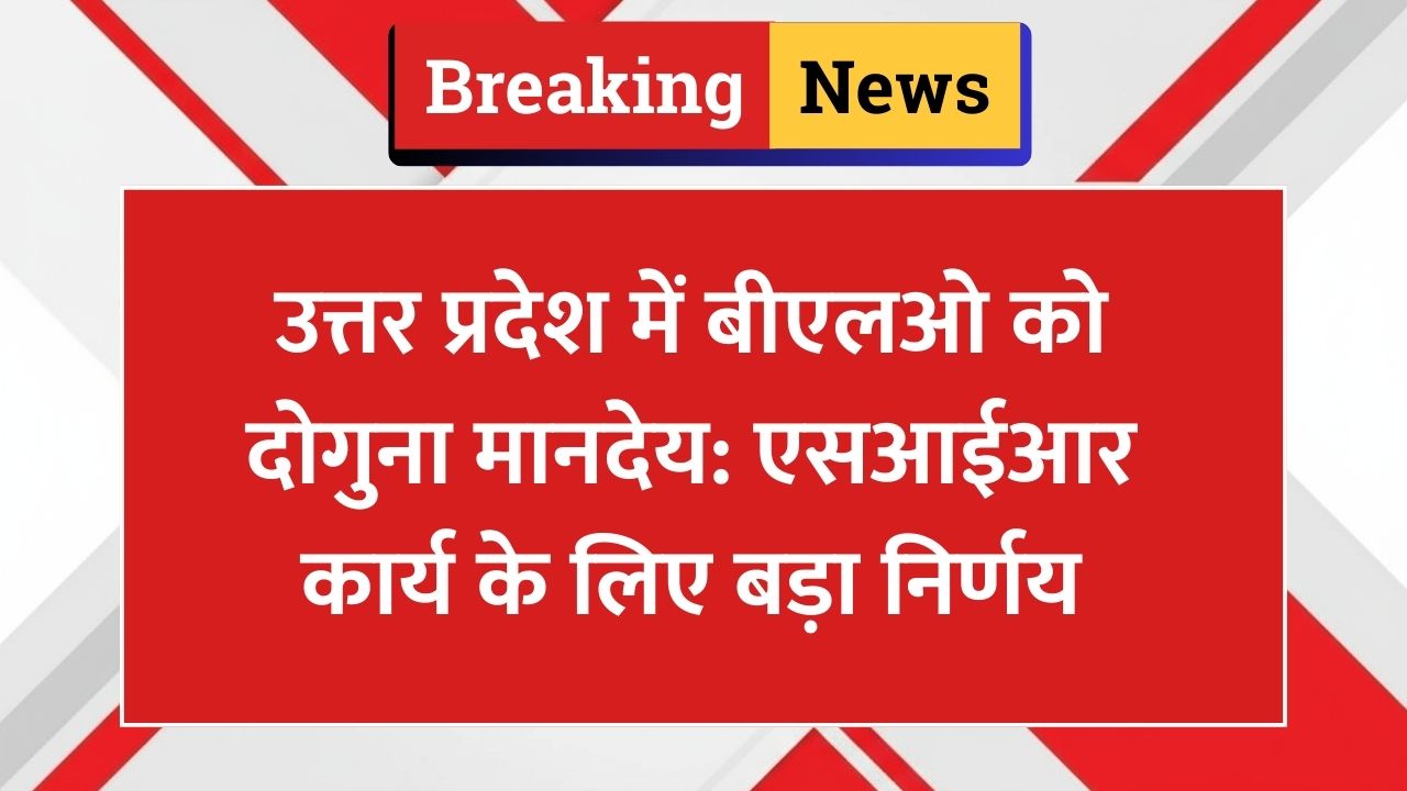 उत्तर प्रदेश में बीएलओ को दोगुना मानदेय: एसआईआर कार्य के लिए बड़ा निर्णय